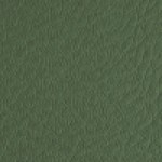چرم طرحدار سبز یشمی 2003  + 10,879,000 ریال 